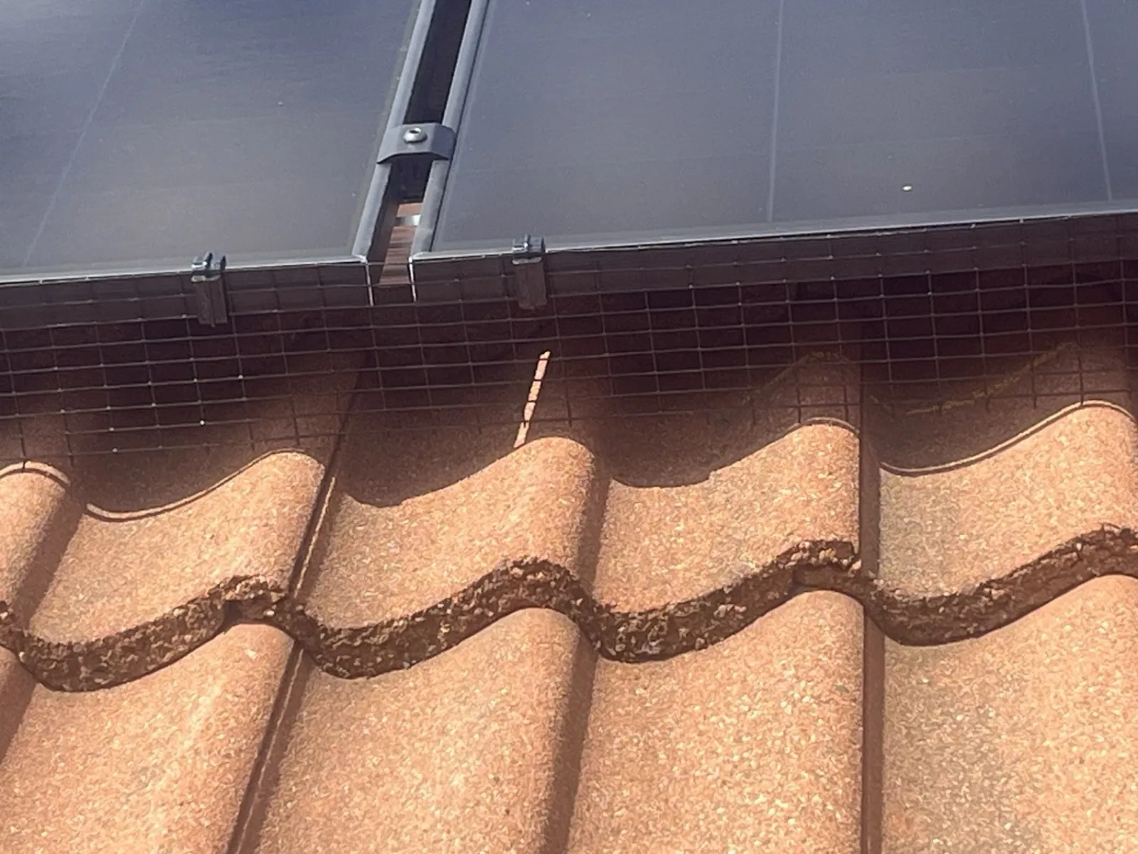 Solar Panels with Bird Proofing Technology Installed